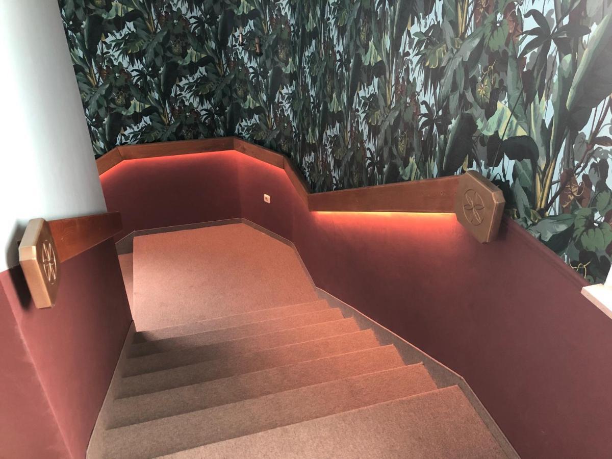 Corso, Zimmer & Fruehstueck Pressbaum المظهر الخارجي الصورة
